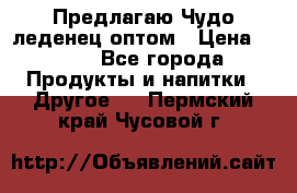 Предлагаю Чудо леденец оптом › Цена ­ 200 - Все города Продукты и напитки » Другое   . Пермский край,Чусовой г.